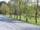 stromořadí