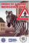 Zebra- 1