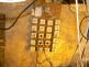 P1060190.JPG