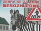 zebra.JPG