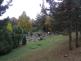 P1010009.JPG