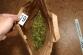 marihuana_1.jpg
