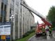 IZS3
