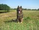 DSC00085.JPG