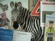 zebra ilustracni 01
