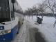 Svépravice 27.1.11.jpg