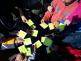 DSC00446.JPG