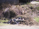 Osvobození na Kvildě 012.bmp