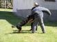 Policejní psovodi- 25. 5. 2011 - 05.jpg