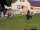 ZŠ Želeč - 25. 5. 2011 - 02.jpg