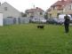 Den dětí ZŠ Košice  1. 6. 2011 - 05.jpg