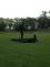 DSCN0664.jpg