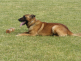 Ajax 4