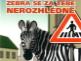 ikona-zebra.jpg