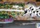 graffitt.jpg