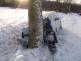 Obyčtov 21.1.11.JPG