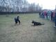 DSC01405.JPG