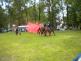 DSCN2681.jpg