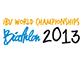HP IBU 2013b