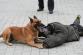 Den_policie_2013 076.JPG