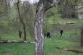 Čistý park 7.JPG