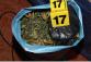 marihuana.jpg