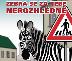 Zebra.jpg