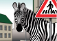 9 16/zebra5.png