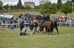 Den IZS 2015