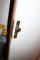 foto 2.png