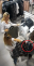 foto 5.png