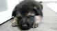 IMG-20180110-WA0002.jpg
