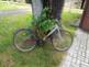 2 Cyklistické kolo.jpg