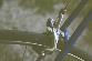 cyklista