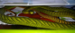 1 foto 1.png