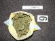 Marihuana_8.jpg