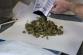Toxi marihuana