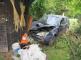 DN