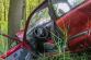 Náraz do stromu 1