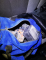 foto (4).png