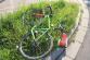 Jízdní kolo.jpg