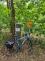 IMG-20220714-WA0006.jpg