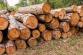 depositphotos_53931815-stock-photo-big-pile-of-wood-in.jpg