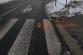DN CHODEC JN (3)