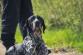18 IMG-20230504-WA0019.jpg