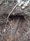 nález munice
