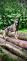 IMG-20240731-WA0004.jpg