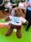 thumbnail_image7.jpg