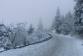 IMG-20241205-WA0000.jpg