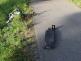 longboard_1.jpg